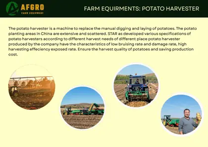 Catalogue page 80